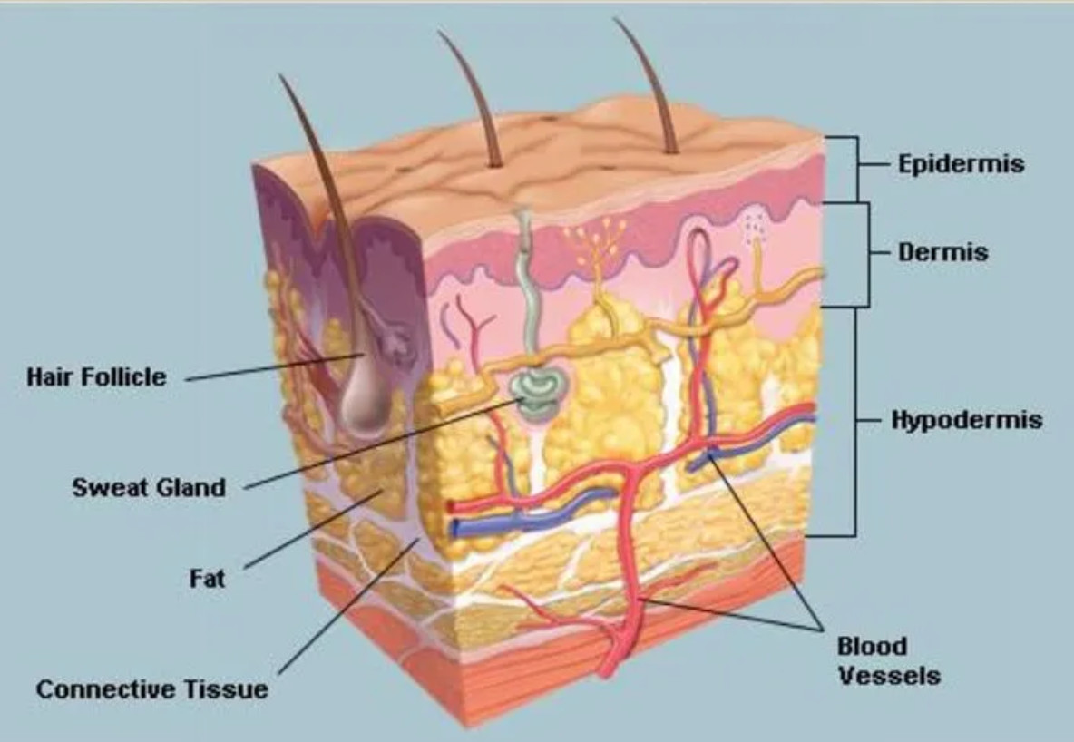 Screenshot 2025 10 13 at 4.11.17 PM